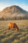 19c98b7fd8f7d.png