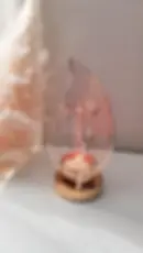 Brûle parfum prestige plume