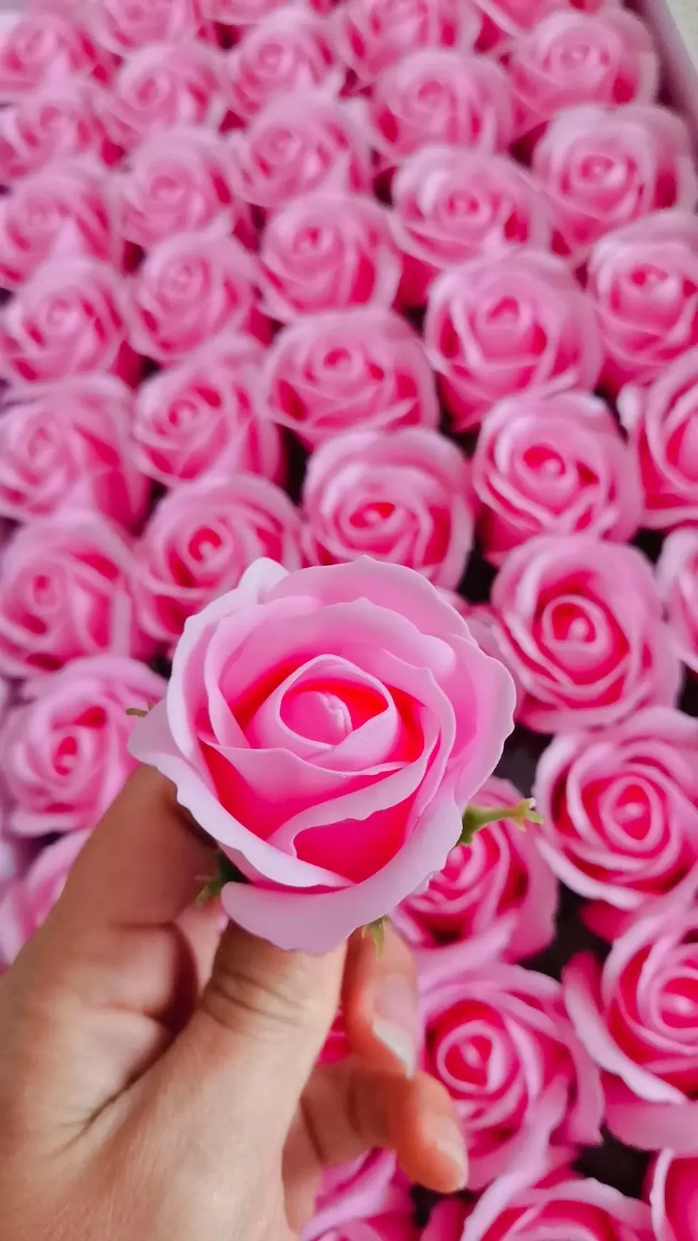 Miniatura: Rose de savon rose