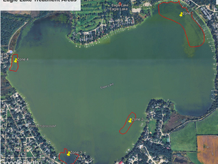 Eagle Lake receives Milfoil treatment for 2026 invasive control