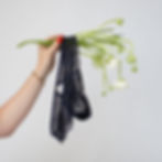 KRYSTAL DE LISI HOLDING A BOUQUET AND BRIEFS