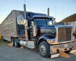 WalterTruck2_edited.jpg