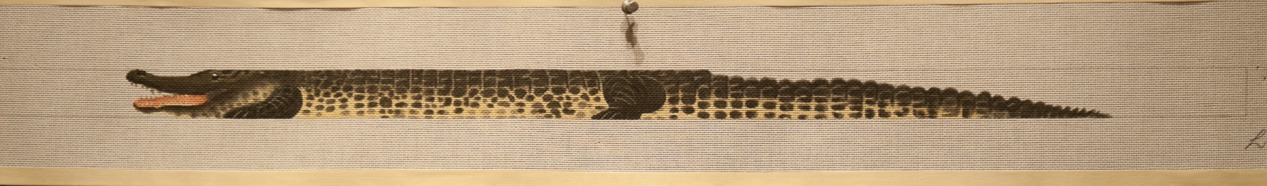 Gator Belt