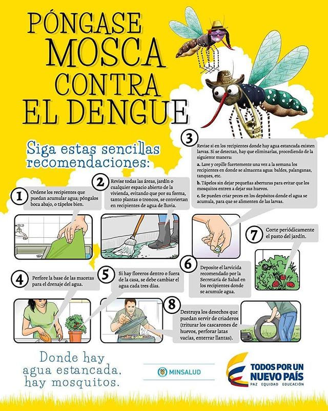 Juntos contra el DENGUE
