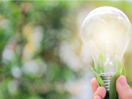 O Potencial das Energias Renováveis: Explorando Oportunidades no Mercado Europeu