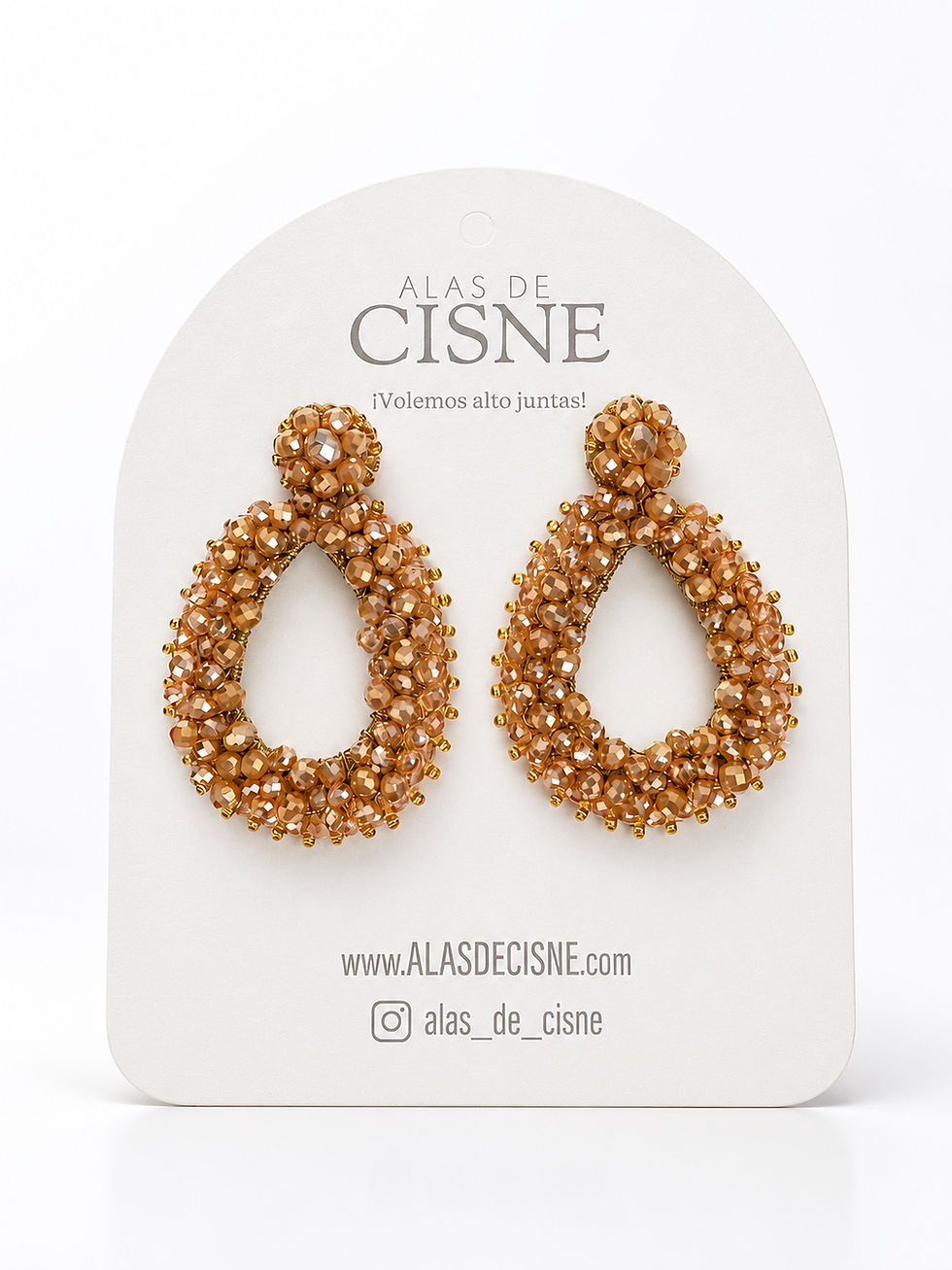 Miniatura: Aretes Venecia