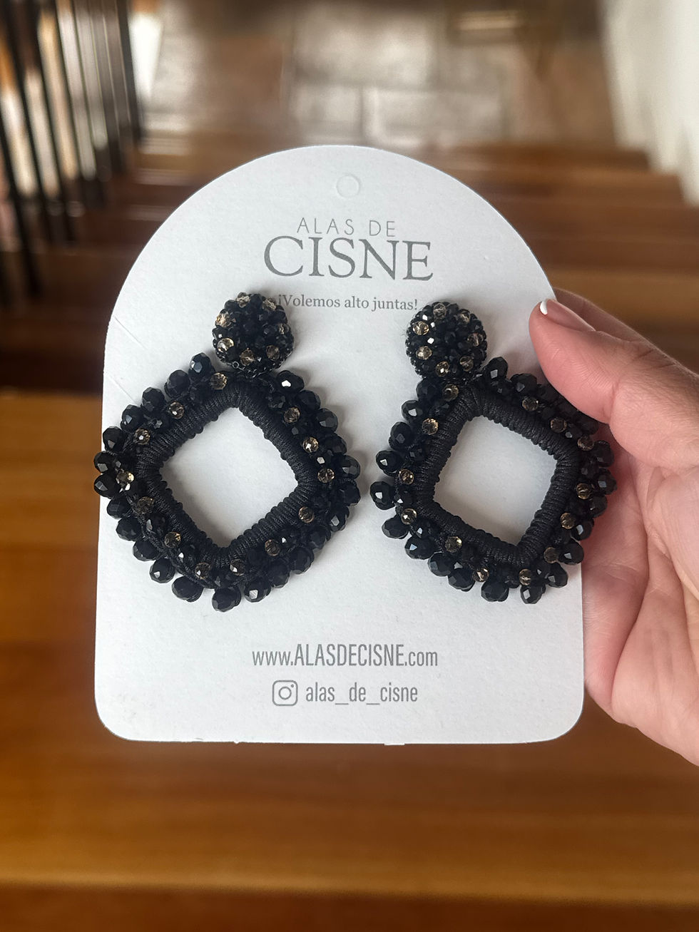 Miniatura: Aretes Verona