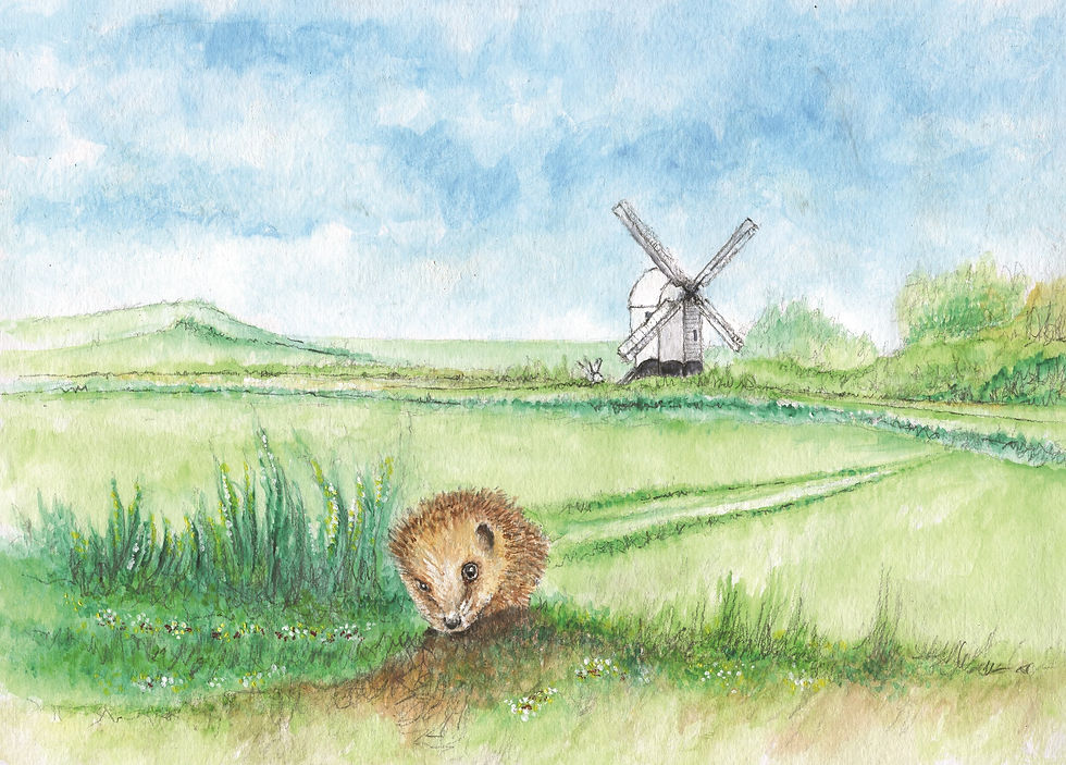 Thumbnail: Tales from the South Downs