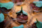 DSC1795-1.jpg