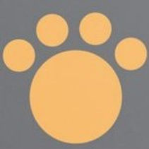 doggie daycare, boarding, dog walking, dog sitting, NV, Drop Ins, Henderson, Anthem, Green Valley