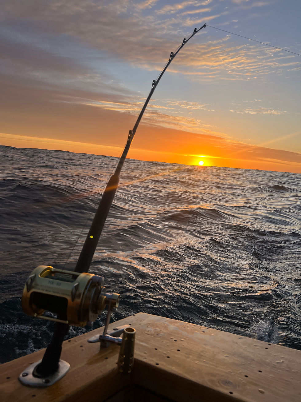 Informe de pesca Abril - Mayo