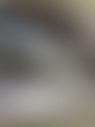 Informe de pesca Marzo 2025