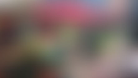 The Conscientious Cook