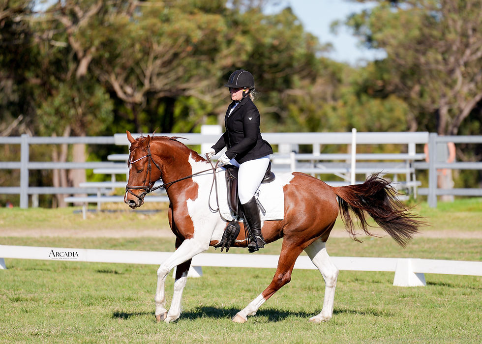 Dressage and Show Jumping Training Day