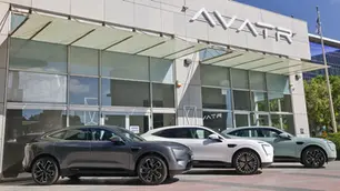 אוואטר 11 אולם תצוגה בישראל