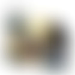 DJ Roko's 'Velocity': The Trance Track That's Electrifying Dance Floors Worldwide!