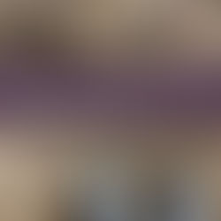 SPYDERHUFF - Never Am I Full - LATEST RELEASE