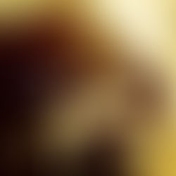 QUIZBOY - Not Like The Others You Know - EP REVIEW