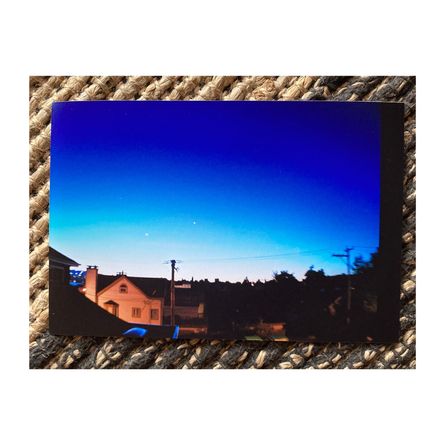 Pranatricks Unveils "Birds and the Bees" - A Romantic Indie Rock Ode