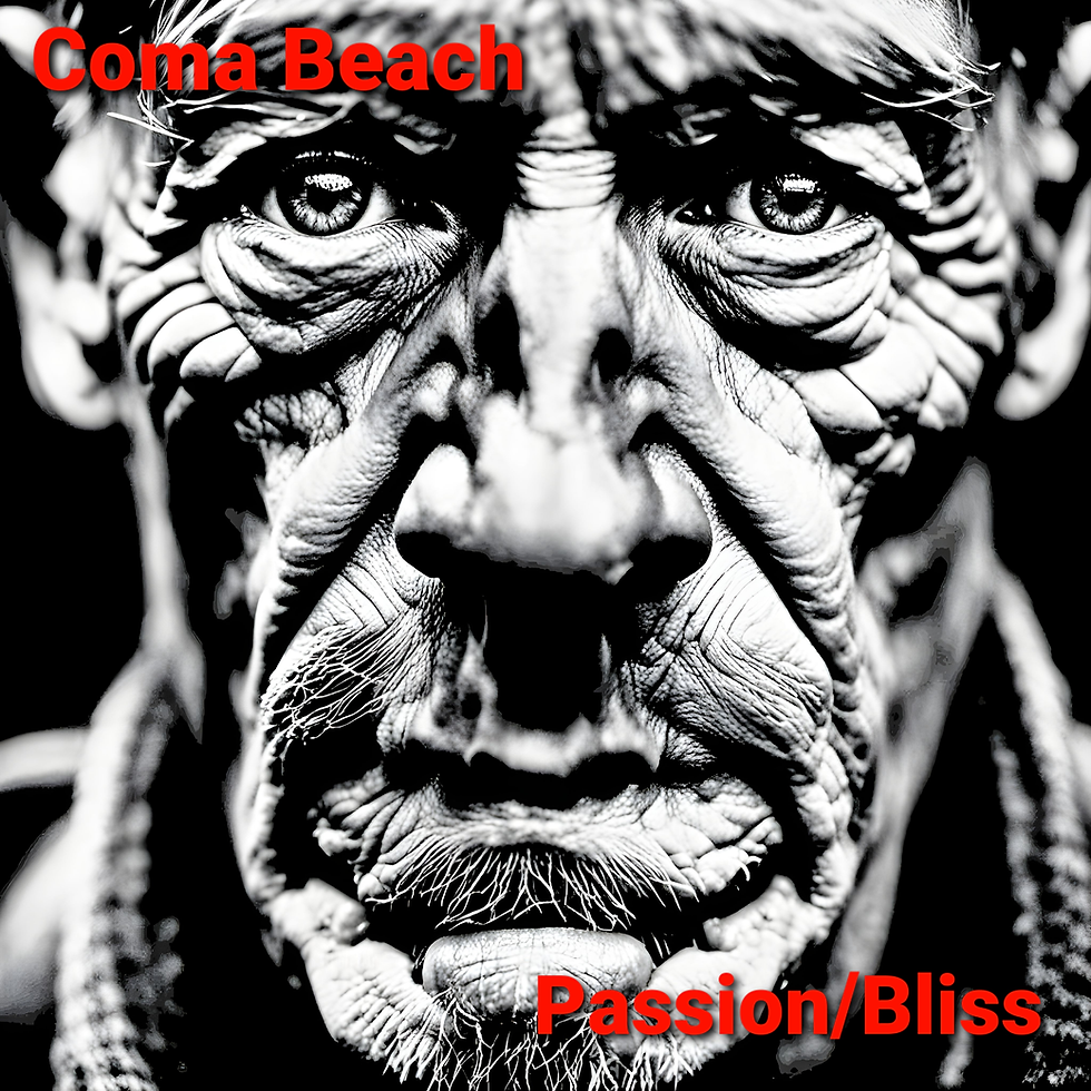 Cover art for Coma Beach’s Passion/Bliss EP, featuring dark, abstract imagery symbolizing existential struggle.