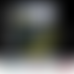 Plectrum Magazine Issue 7: Independent Rock, Metal and Indie Artists Define the Sound of 2026