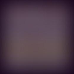 Gianfranco Malorgio – PHOENIX: A Cinematic Revival of 70s Detective Drama