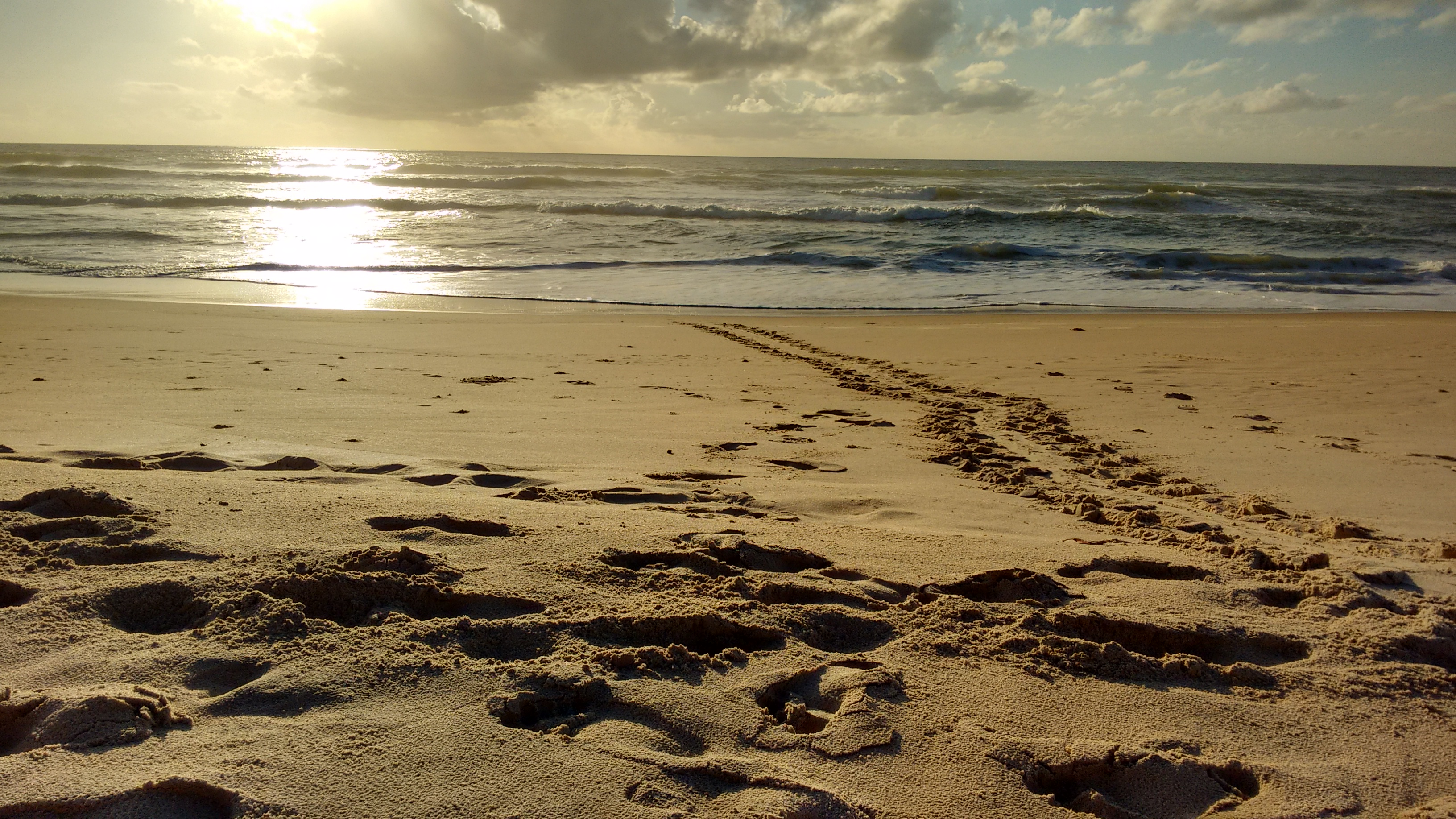 IMG_20150127_061035017_HDR