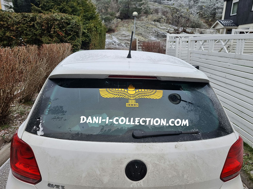 Miniatyrbild: Syrianska örnen -  Stor klistermärke för bil