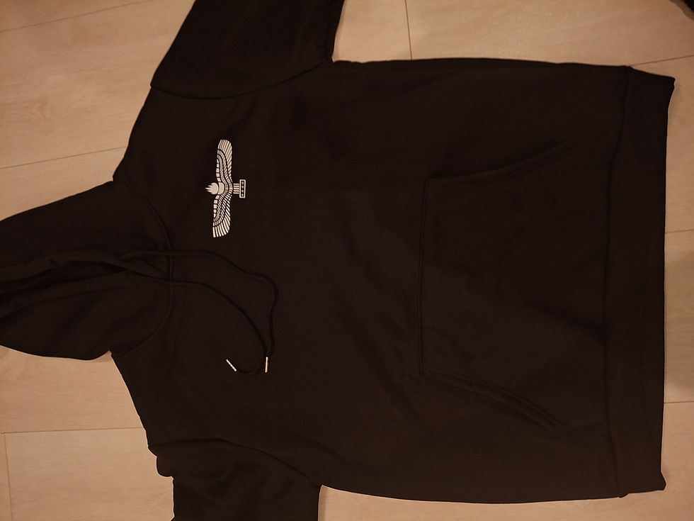 Miniatyrbild: Hoodie