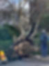 273828667_10228378818437554_1877371597672883059_n.jpg