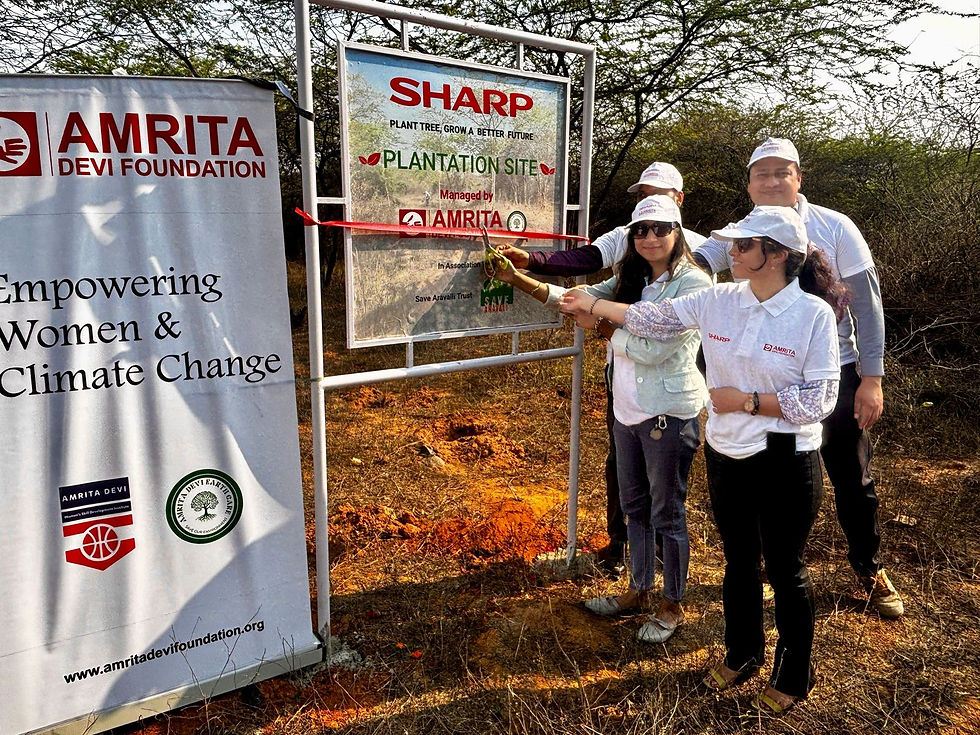 Wide angle view of the lush landscape in Aravalli Hills post-plantation