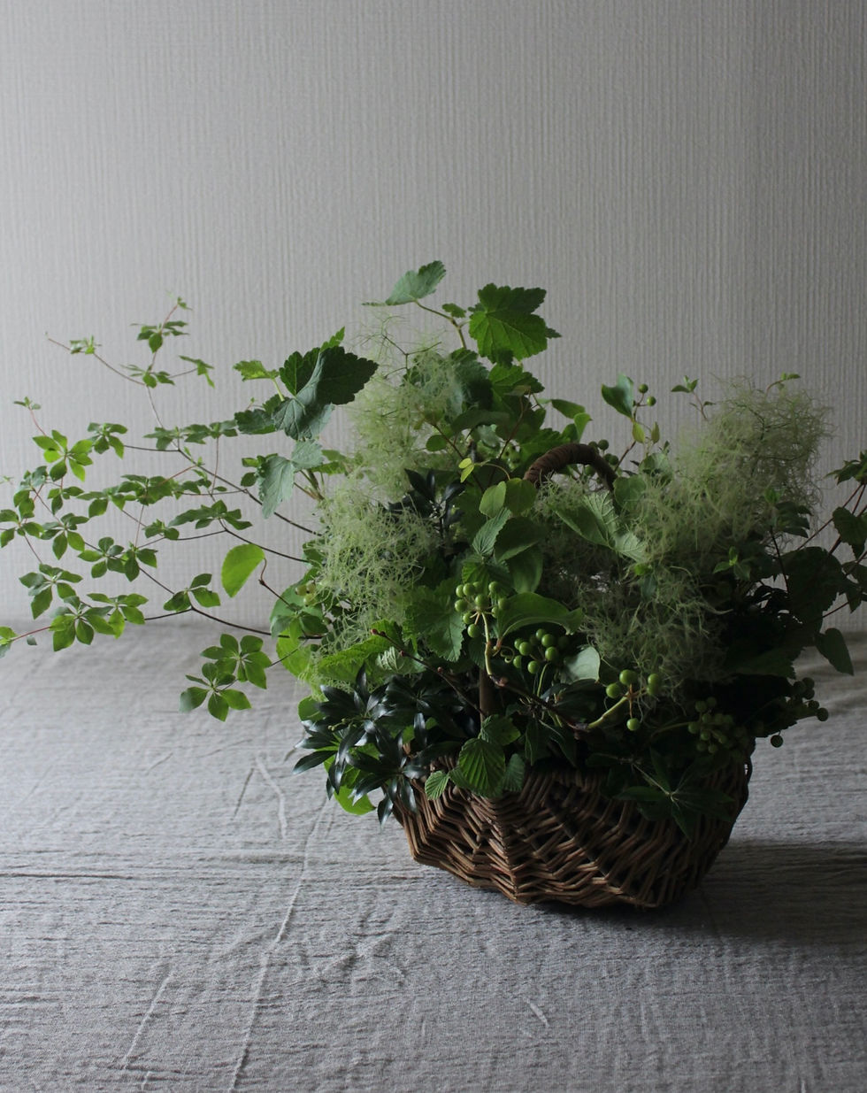 サムネイル： [定期] MEGUMI【Harvestプラン】