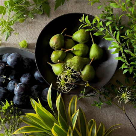 今月の枝もの〈8月第2週お届け〉