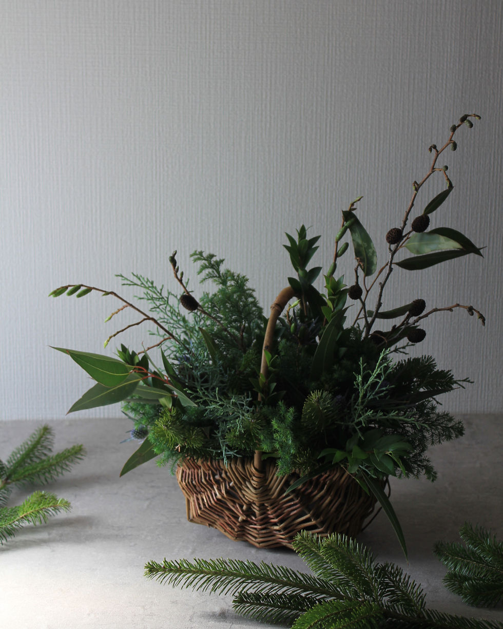 サムネイル： [定期] MEGUMI【Harvestプラン】