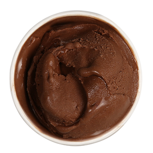 Dairy-Free Chocolate Ice Cream