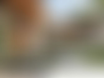 Sustainable Luxury : Why Eco-Friendly Doesn’t Mean Boring Anymore