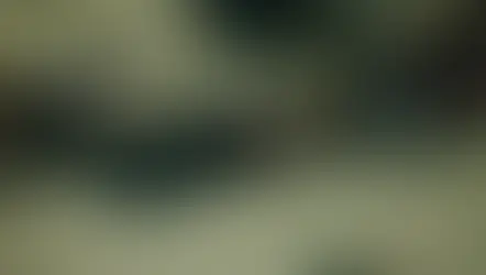 Why AI Jobs Are Open and Talent Is Still Missing