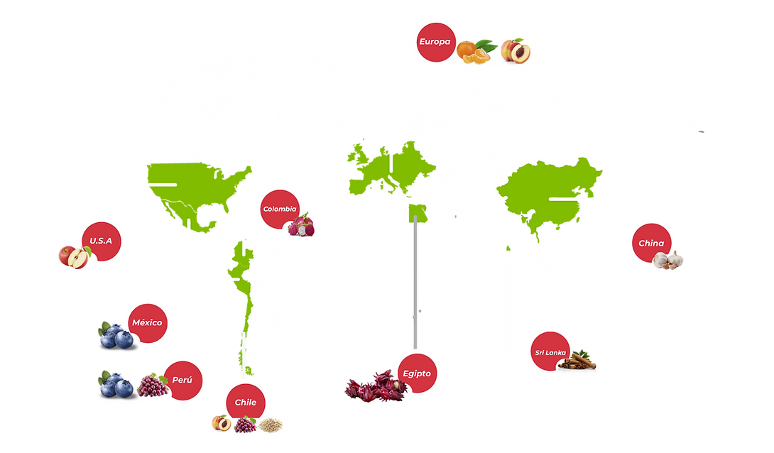 mapa cosecha del chef 2fsd_Mesa de trabajo 1.png