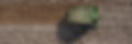 Copy of TERRA web header (3).gif