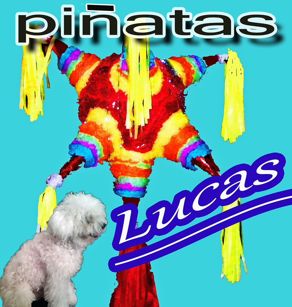 PINATAS LUCAS 