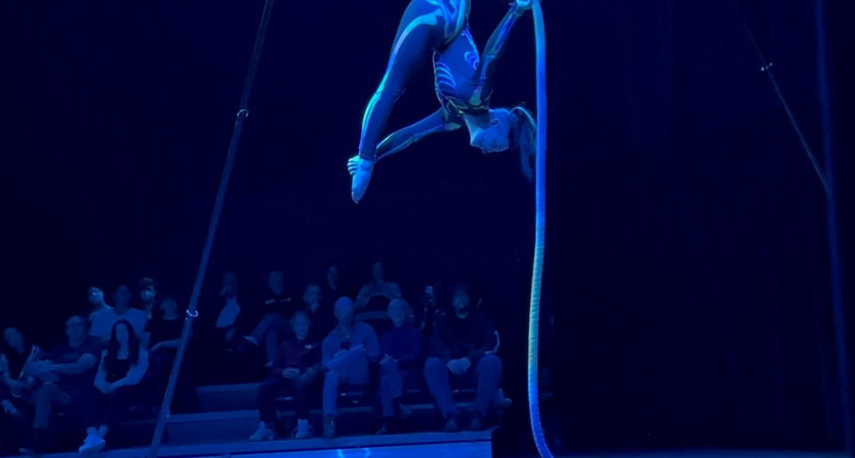 Hillary performing aerial rope on a stage