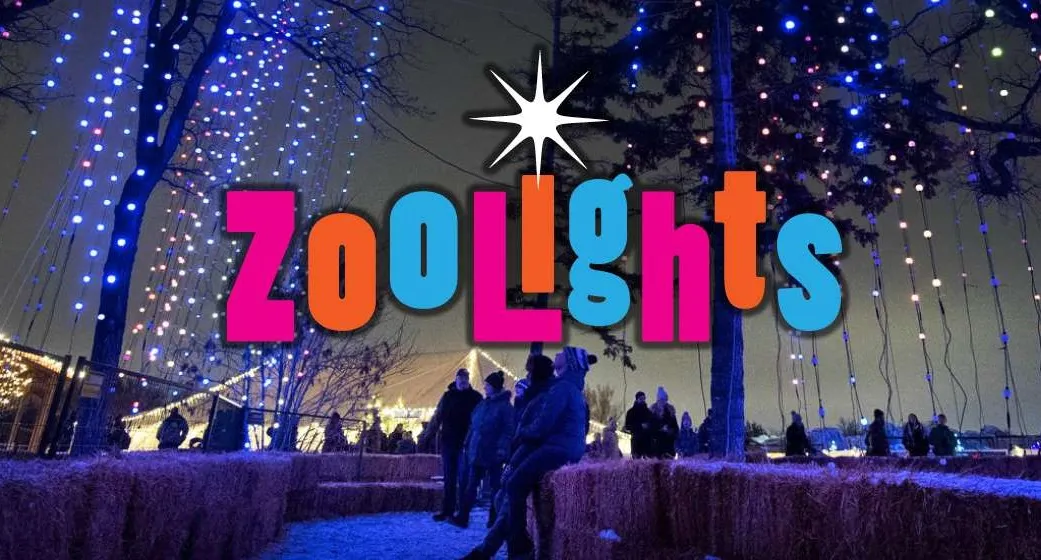 zoo-lights.webp