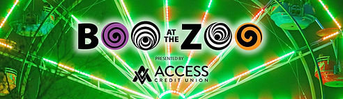 banner-173.jpg