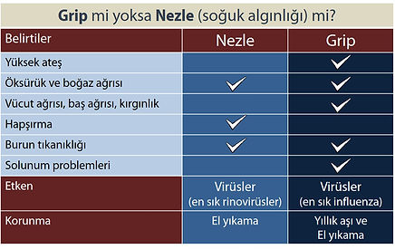 Grip mi yoksa nezle (soğuk algınlığı) mı