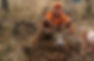 Hunter displaying whitetail buck harvested on private ranch hunt