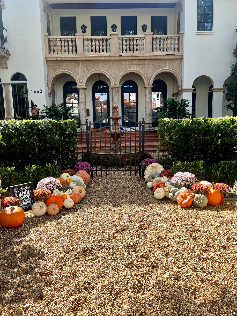 Thumbnail: Pumpkin Package #4
