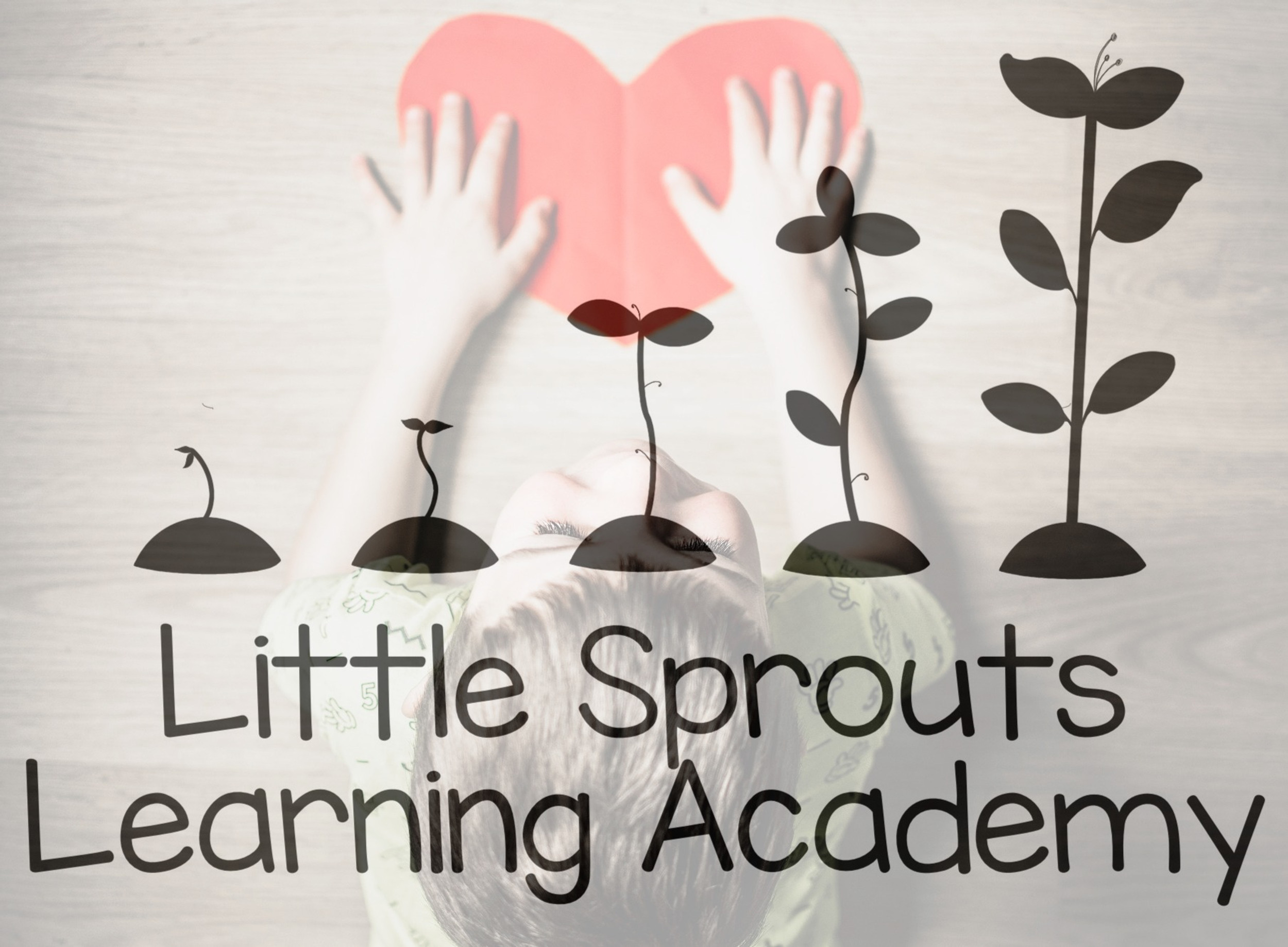 Contact Little Sprouts