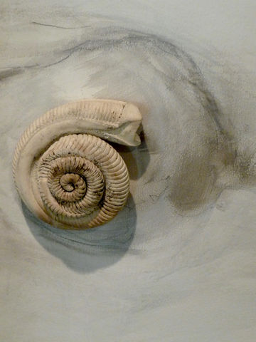 Oikos_ Lake Walk (30).jpg