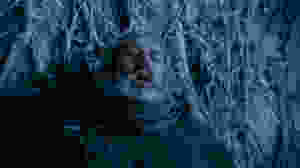 Hodor, character from the TV series Game of Thrones, holds back a door covered in vines and snow. He looks visibly distressed.