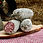 Miniatura: Salame nostrano